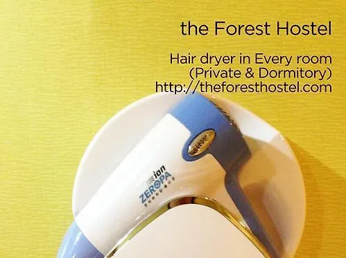 The Forest Hostel Jeju